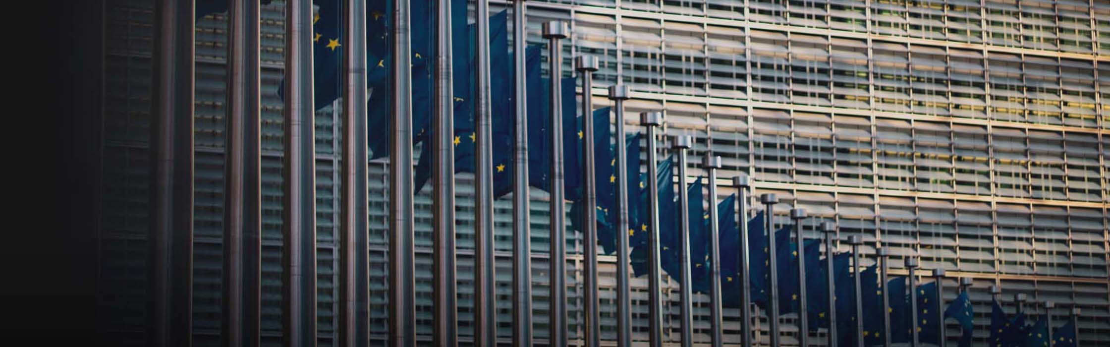 Herzlich Willkommen bei Die Timeshare Berater